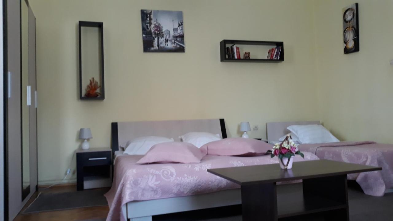 Casa Ioana Guest house *