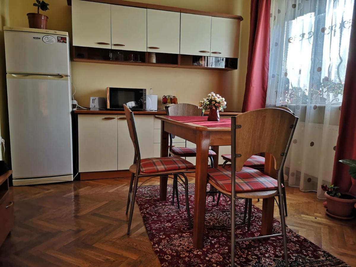 Casa Ioana Guest house Brasov