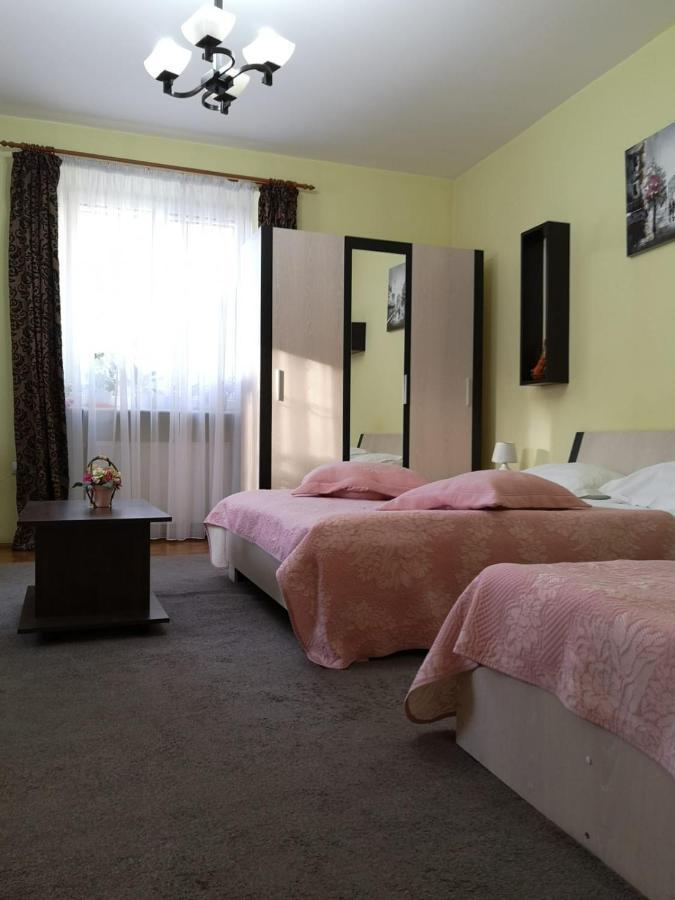 Casa Ioana Guest house