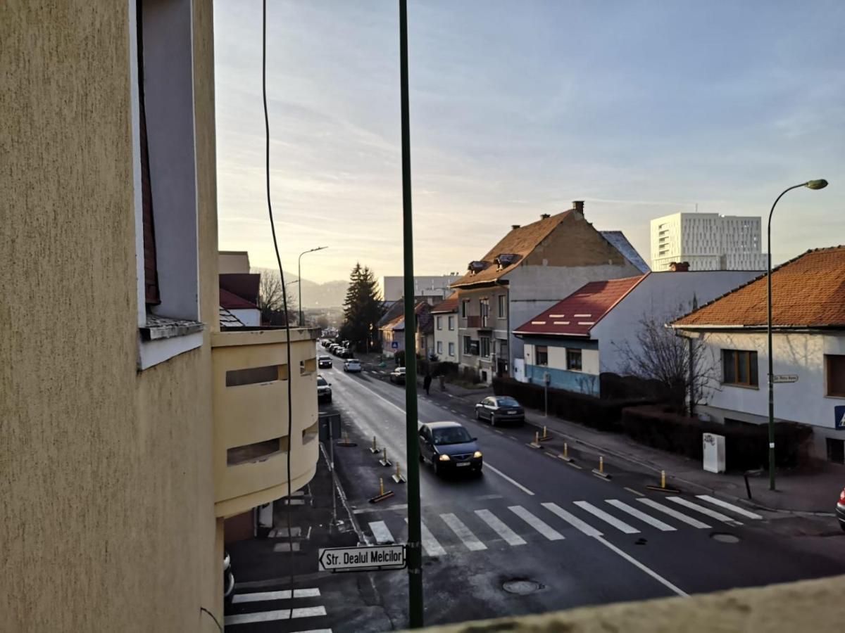 Casa Ioana Guest house Brasov
