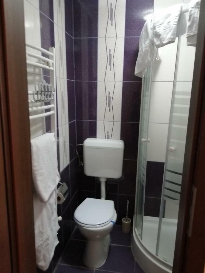 Guest house Casa Ioana