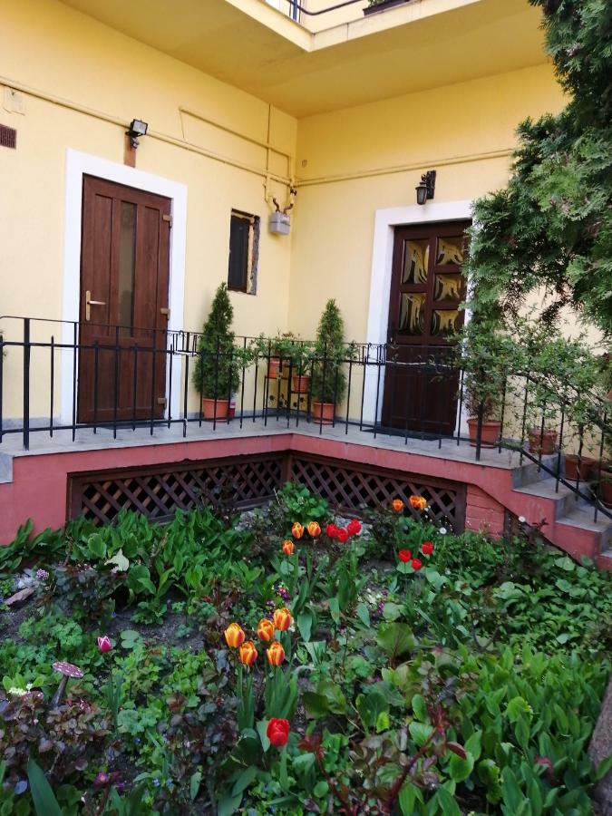 Casa Ioana * Brasov