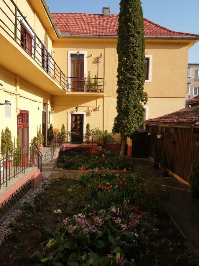 Casa Ioana Guest house Brasov
